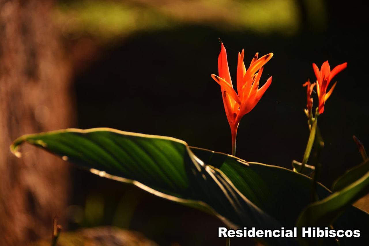 加罗帕巴Residencial Hibiscos - Vista Mar别墅 外观 照片