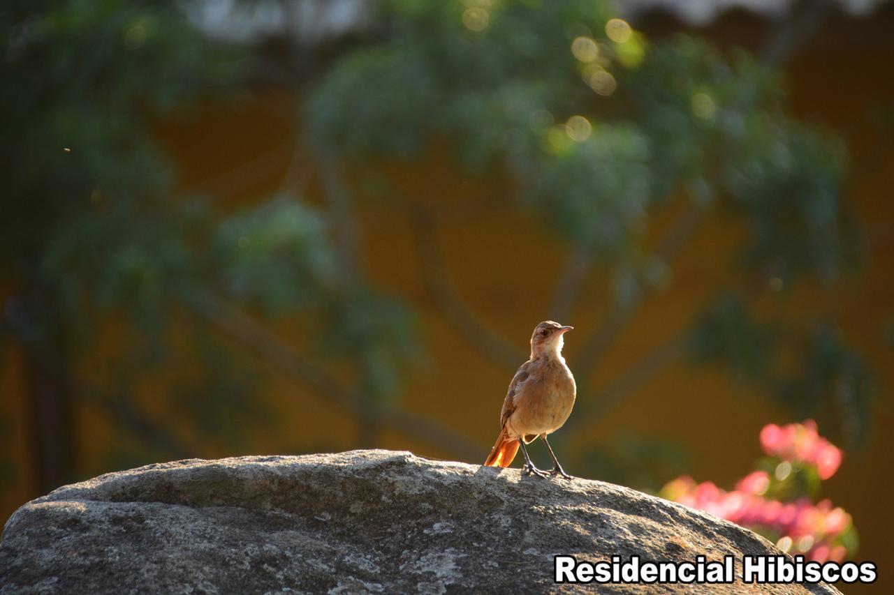 加罗帕巴Residencial Hibiscos - Vista Mar别墅 外观 照片